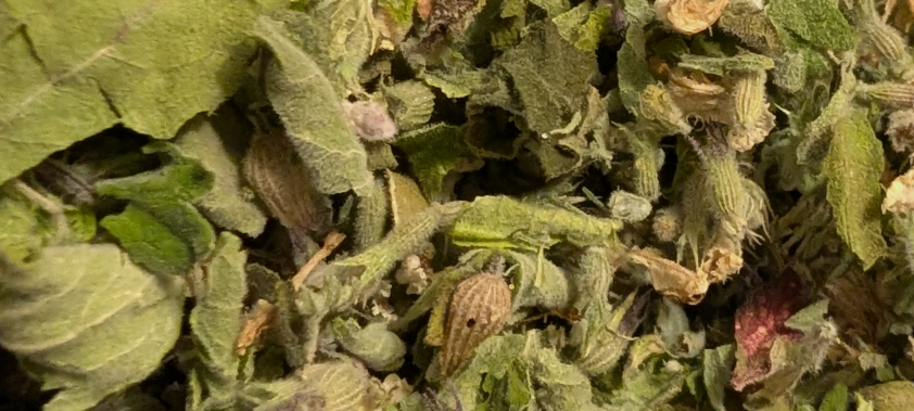 Dried Catnip